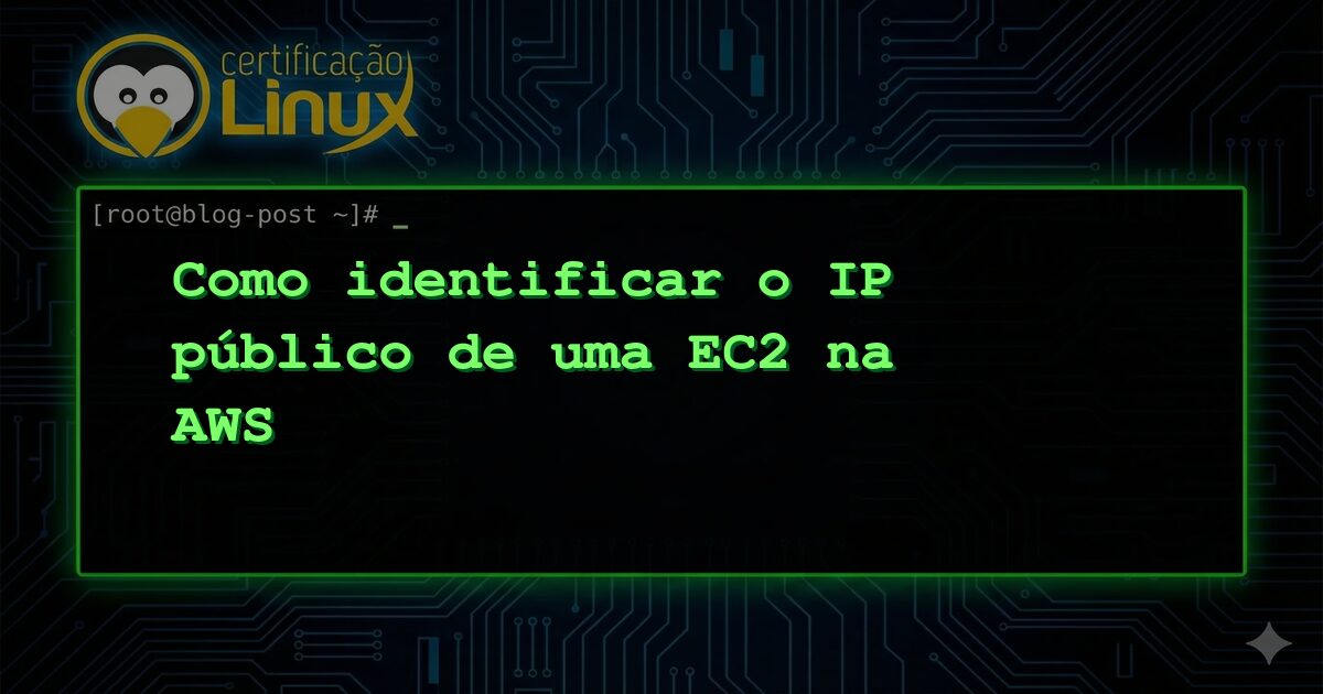 Como identificar o IP público de uma EC2 na AWS