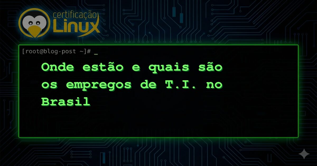 Onde estão e quais são os empregos de T.I. no Brasil