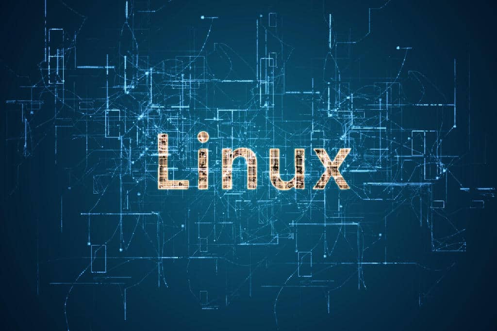 permissões arquivo linux